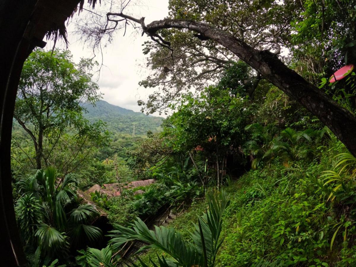 Ecohostal Rio Piedra El Zaino Ngoại thất bức ảnh