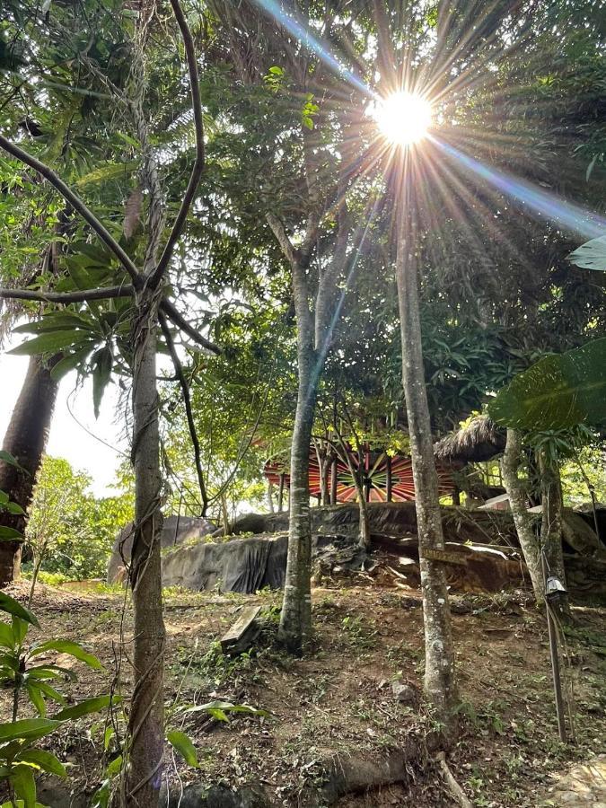 Ecohostal Rio Piedra El Zaino Ngoại thất bức ảnh